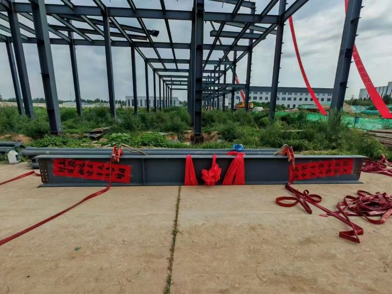 Yongcheng Xingye Steel Structure Company Hebei Bosheng 음식 워크숍 건설 가속화