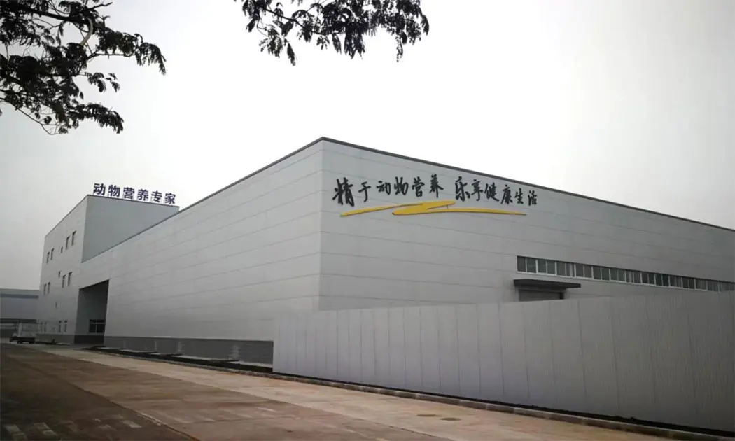 Steel Structure Factory Building